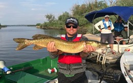 Stiuca 86 cm, lacul Isac, Delta Dunarii! 